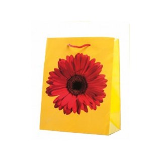 Torebka ozdobna papierowa TG-20 17,8x22,9x9,8 cm