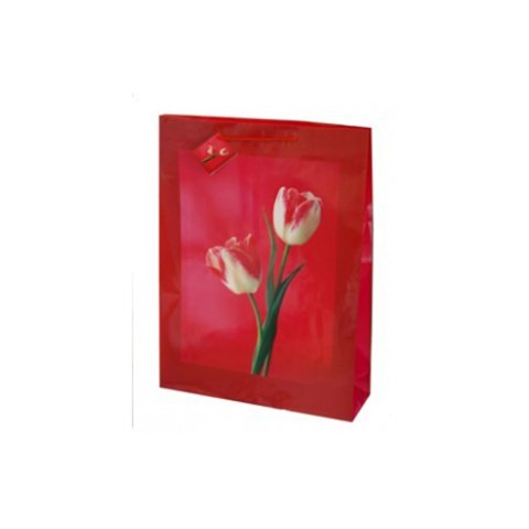 Torebka ozdobna papierowa TG-40 33x45,7x10,2 cm Torebka ozdobna papierowa TG-40 33x45,7x10,2 cm