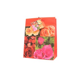 Torebka ozdobna papierowa TR-20 17,5x22 cm