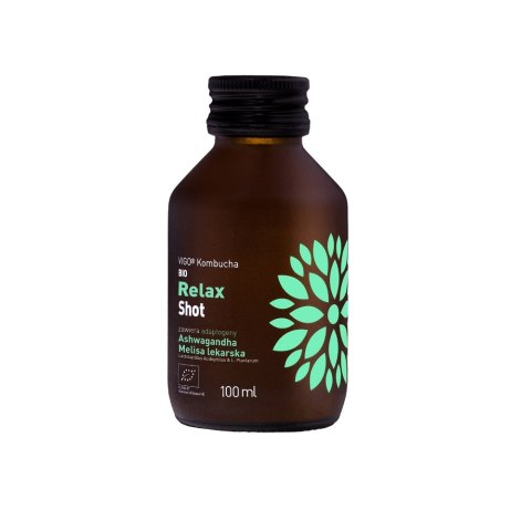 VIGO KOMBUCHA BIO Relax Shot 100ml