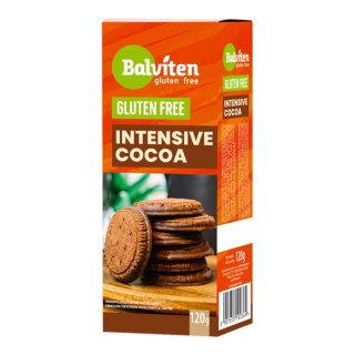Herbatniki intensive cocoa bezglutenowe 120 g