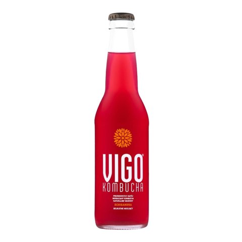 Vigo Kombucha Schisandra 330 ml